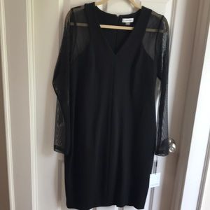 Calvin Klein Sheer Sleeve Little Black Dress, 12 NWT
